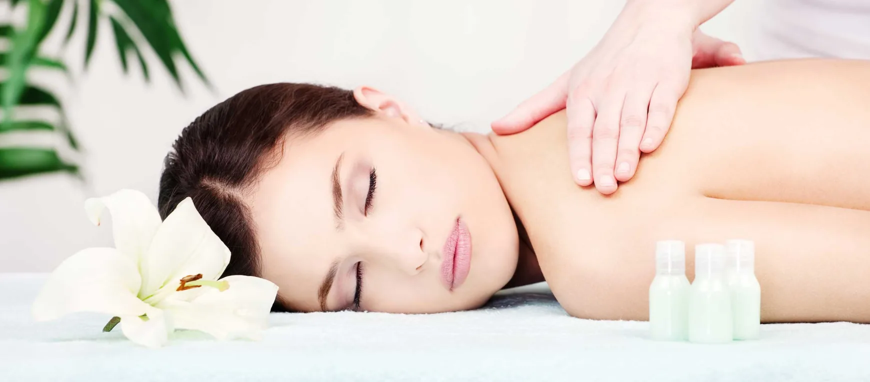Wellness & Spa