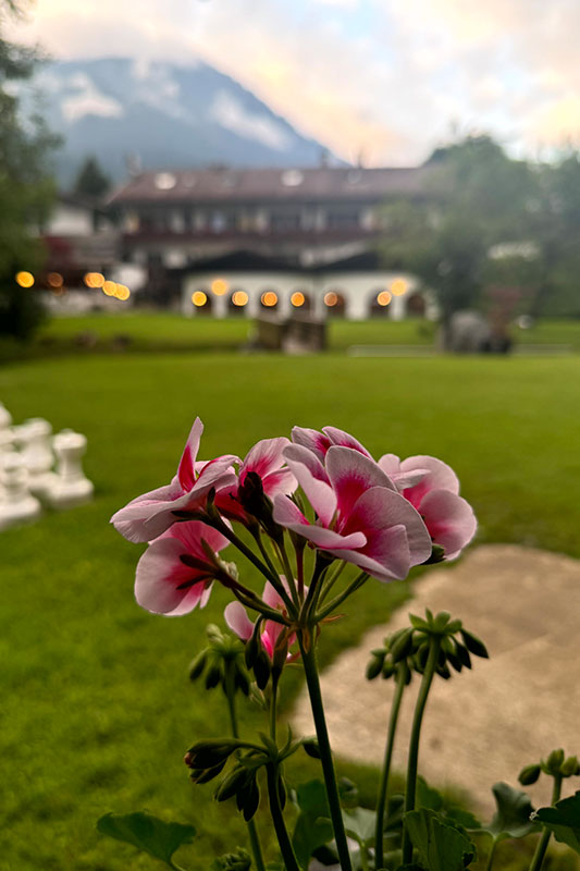 Rückansicht des Alpenhofs Grainau mit Blumen